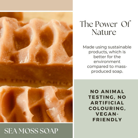 A sea moss natural soap with a description of the power of nature