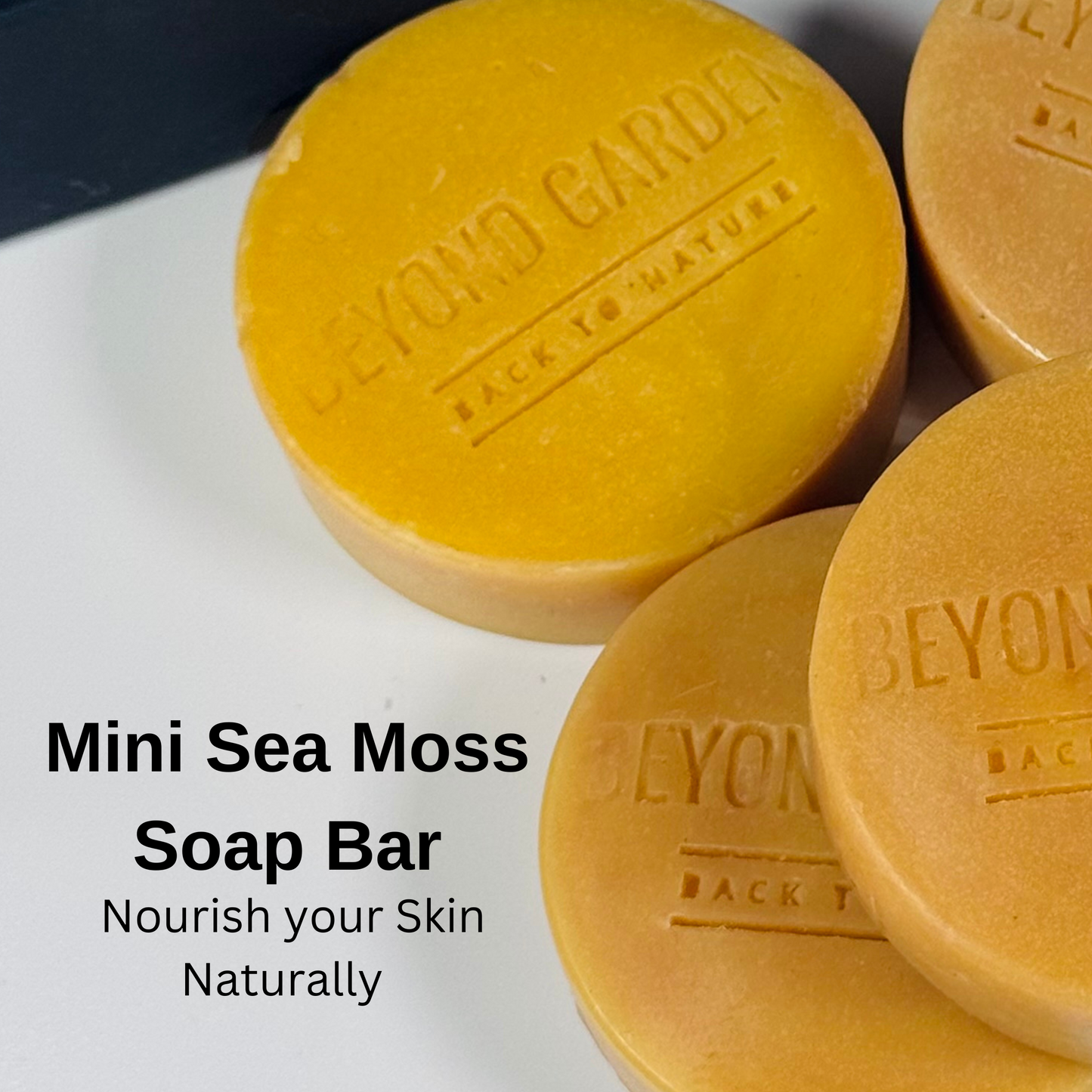 Round Irish Sea Moss guest soap resting on its side atop a black gift box, showcasing the 'Beyond Garden' stamp