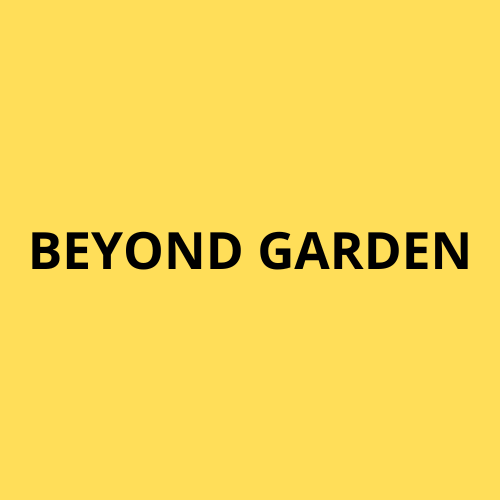 Beyond Garden Studio